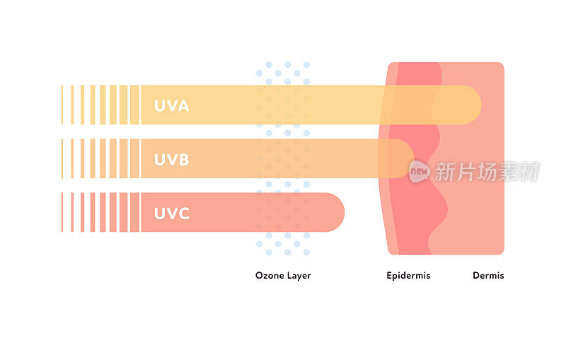 紫外线和可见光医疗保健信息图表。矢量平面插图。UVA, UVB, UVC箭穿透臭氧层和皮肤层。为防紫外线月设计。